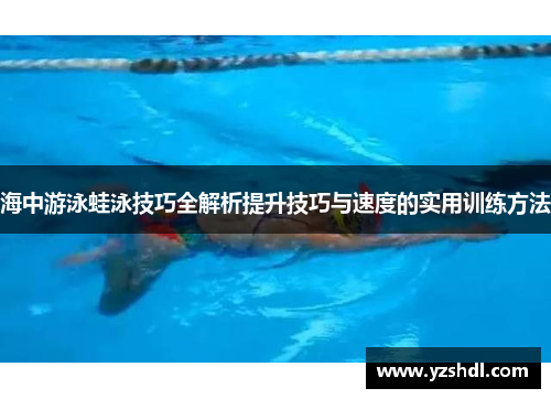 海中游泳蛙泳技巧全解析提升技巧与速度的实用训练方法