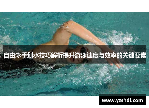 自由泳手划水技巧解析提升游泳速度与效率的关键要素