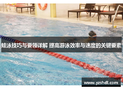 蛙泳技巧与要领详解 提高游泳效率与速度的关键要素