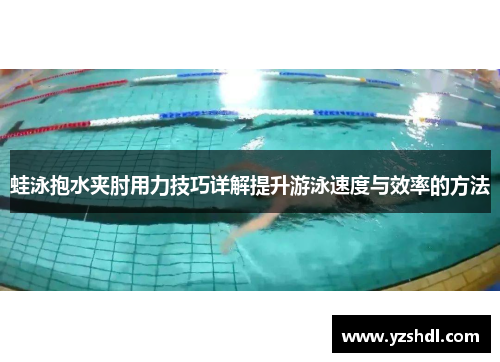 蛙泳抱水夹肘用力技巧详解提升游泳速度与效率的方法