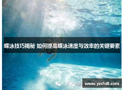 蝶泳技巧揭秘 如何提高蝶泳速度与效率的关键要素